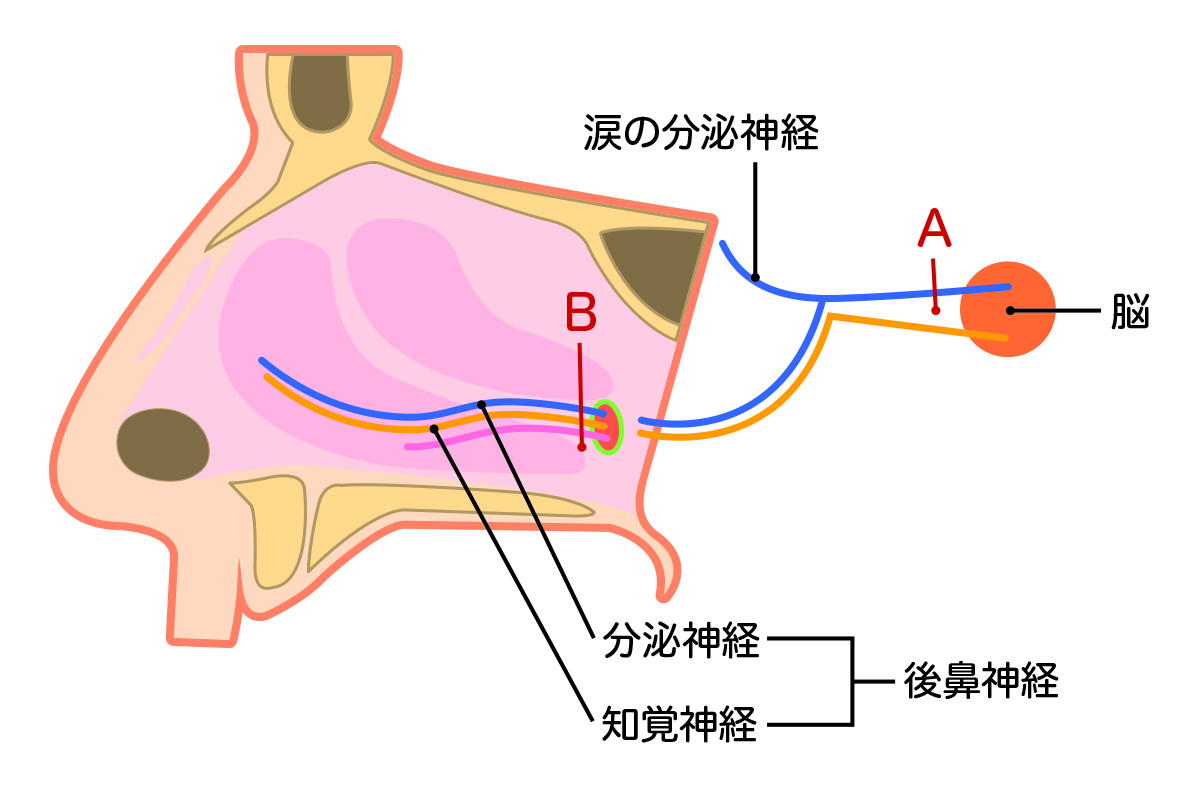 手術内容