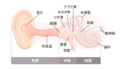 耳の日帰り手術